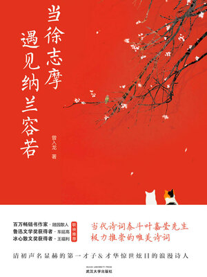 cover image of 当徐志摩遇见纳兰容若